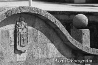 /album/p-b/flor-de-liz-jpg/